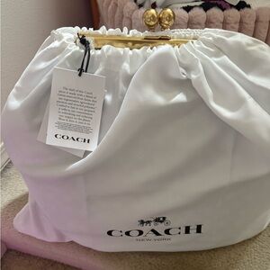 Coach crystal jacquard’s large bag— Beautiful sparkles from across the room.